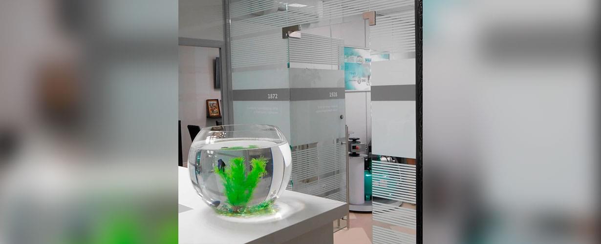 Декорирование перегородок